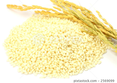 Glutinous rice Glutinous rice 2569099