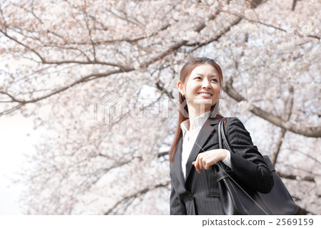 OL and cherry blossoms OL and cherry blossoms 2569159