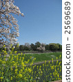 Hori Edi of the Imperial Palace - Vertical 2569689