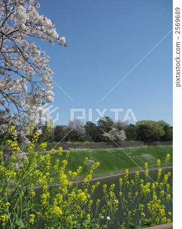 Hori Edi of the Imperial Palace - Vertical Hori Edi of the Imperial Palace - Vertical 2569689