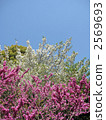 With blue sky ... 2569693