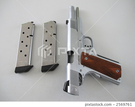 Caliber 2569761