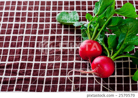 daily necessities, Root Vegetables, checking 2570570