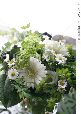 在窗口邊裝飾的花束 2570807