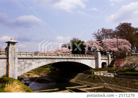 Minami Asakawa Bridge Tama Bonshi入口 2571270