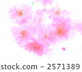 Light pink twin cherry trees 2571389