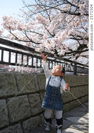 令人眼花繚亂 散步 生活事件 2571504