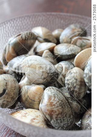 This clam This clam 2573088