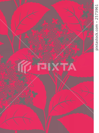 floral, floral design, floral pattern 2573961