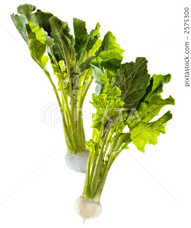 radish, beet, entire 2575300