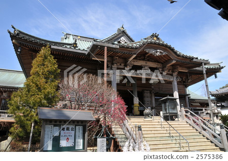 [Shikoku 88 places] No. 19 Rieuji Temple Main Hall, Komatsushima City, Tokushima Prefecture 2575386