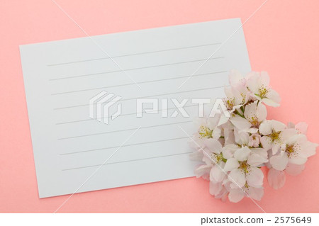 Stationery and cherry blossoms 2575649
