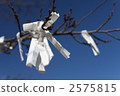 Omikuji tied to a branch Omikuji tied to a branch 2575815
