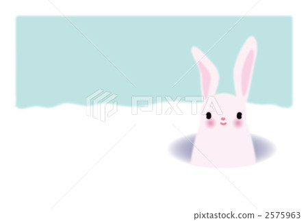 Rabbit in a snow hole 2575963