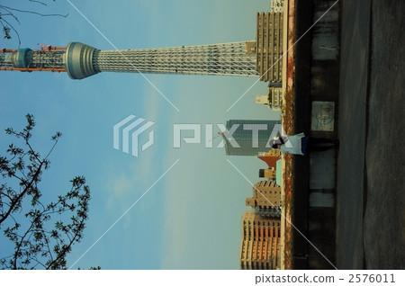 晴空塔 景點 人 2576011