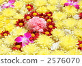 花浴 花蕾 spa 2576070