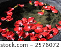 花浴 花蕾 spa 2576072