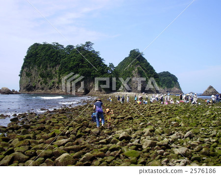 Dragonfly phenomenon on Sanshiro island 2576186