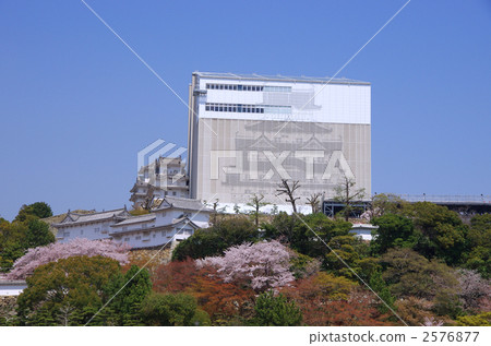 Himeji Castle and cherry blossoms under preservation repair Himeji Castle and cherry blossoms under preservation repair 2576877