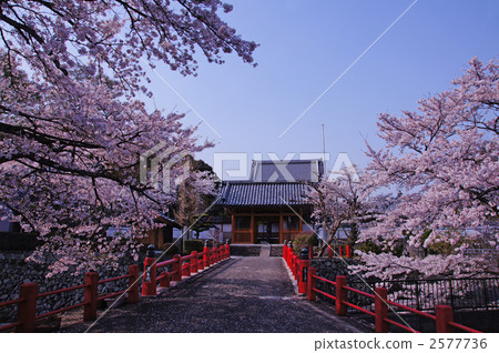 Heian Bridge 2577736