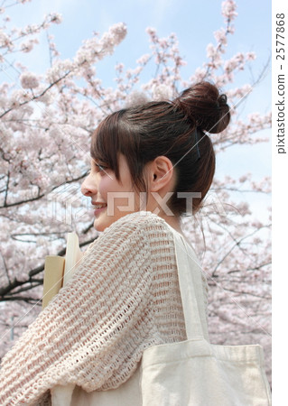 Sakura Sakura Sakura (casual foreigner half-spring new term new life female college student) 2577868