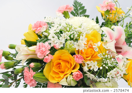 進餐 吃飯 餐廳 2578474