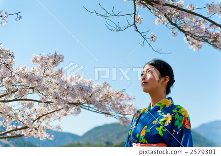 Sakura kimono women 2579301