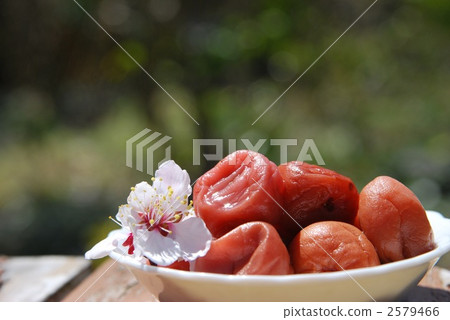 Salted plum  Salted plum  2579466