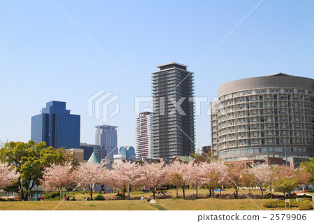 在Ogimachi公園和城市的櫻花 在Ogimachi公園和城市的櫻花 2579906