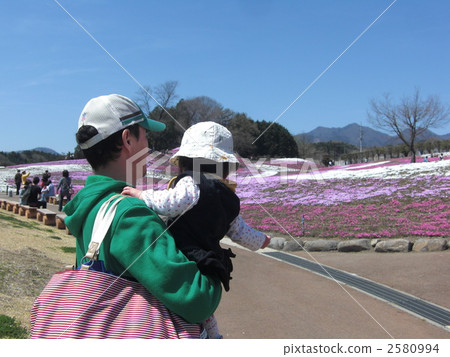 在Shiba Sakura Park 2580994