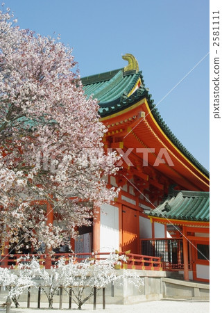 Sakura Heian Shrine 2581111