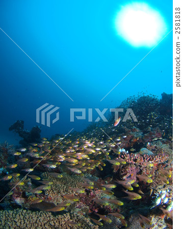 一個晴天 2581818