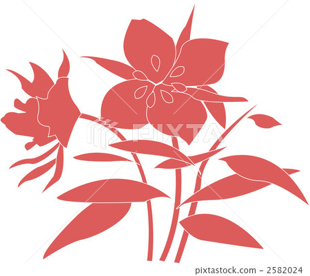 botanic, botanical, plant 2582024