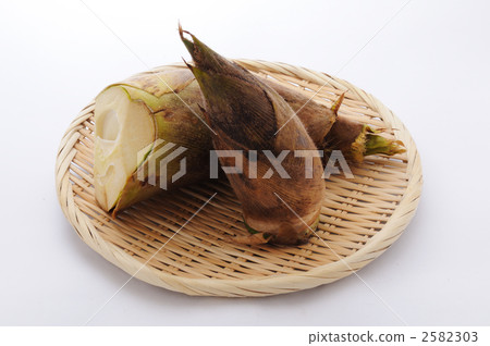 Bamboo shoots on bamboos Bamboo shoots on bamboos 2582303