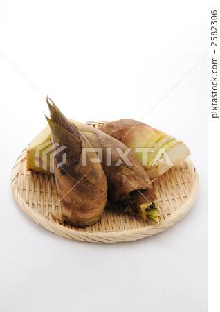 在竹子上的竹筍 2582306