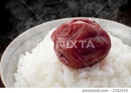 Rice and pickled plum 2582533
