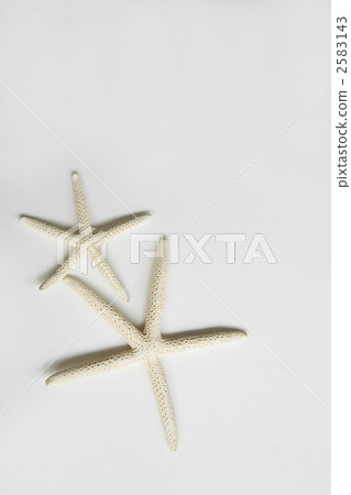 Summer and beauty images White starfish and shadows 2583143