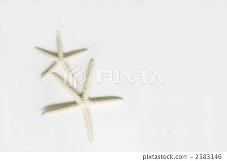 Summer and beauty images White starfish and shadows 2583146