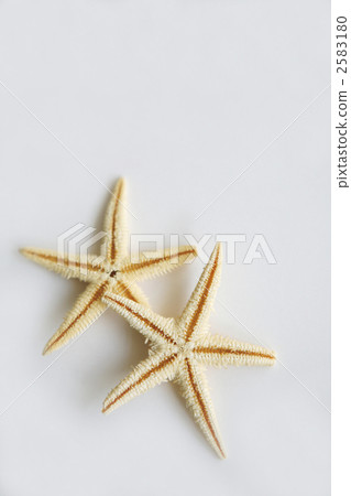 Summer image Starfish and shadows 2583180