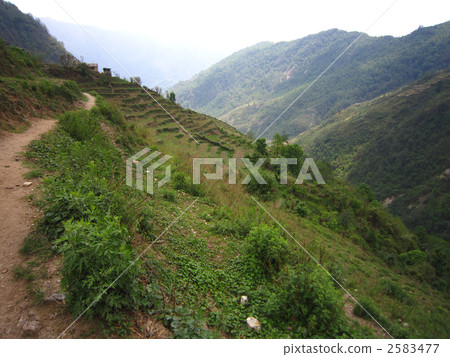 Chomuron Chomuron 2583477