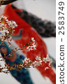 鯉魚飄帶和櫻花 2583749