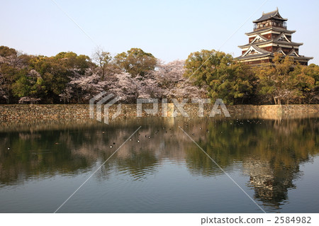 Hiroshima castle and cherry blossoms Hiroshima castle and cherry blossoms 2584982