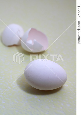 Eggs and shells Eggs and shells 2585812