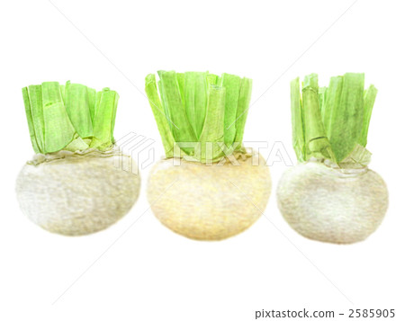 排隊 根菜類 塊根類蔬菜 2585905