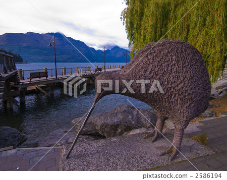 皇后鎮的新西蘭人 2586194