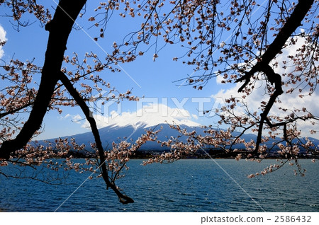 lake kawaguchi, lake, landscape 2586432