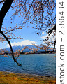 lake kawaguchi, mountain fuji, mt fuji 2586434