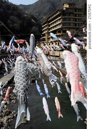 Carp streamer 2587041