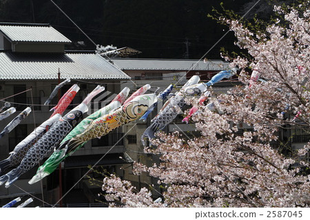 Carp streamer 2587045