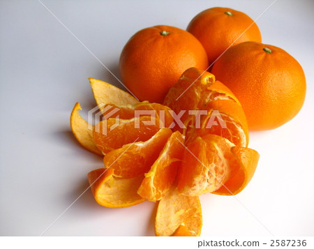 Sou or Mikan Sou or Mikan 2587236